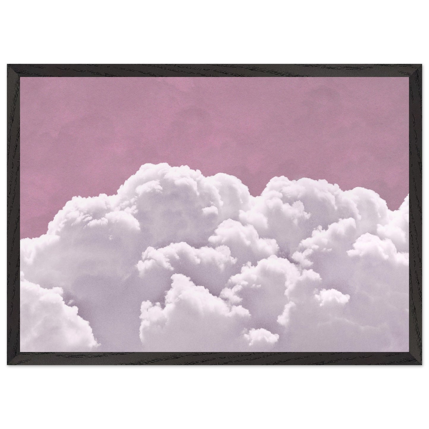 6fef99f4-779b-449a-8ad6-aa49464f7d8c